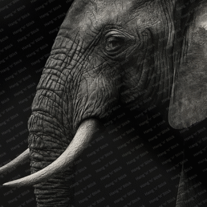 Noble Elephant Monochrome Wall Art