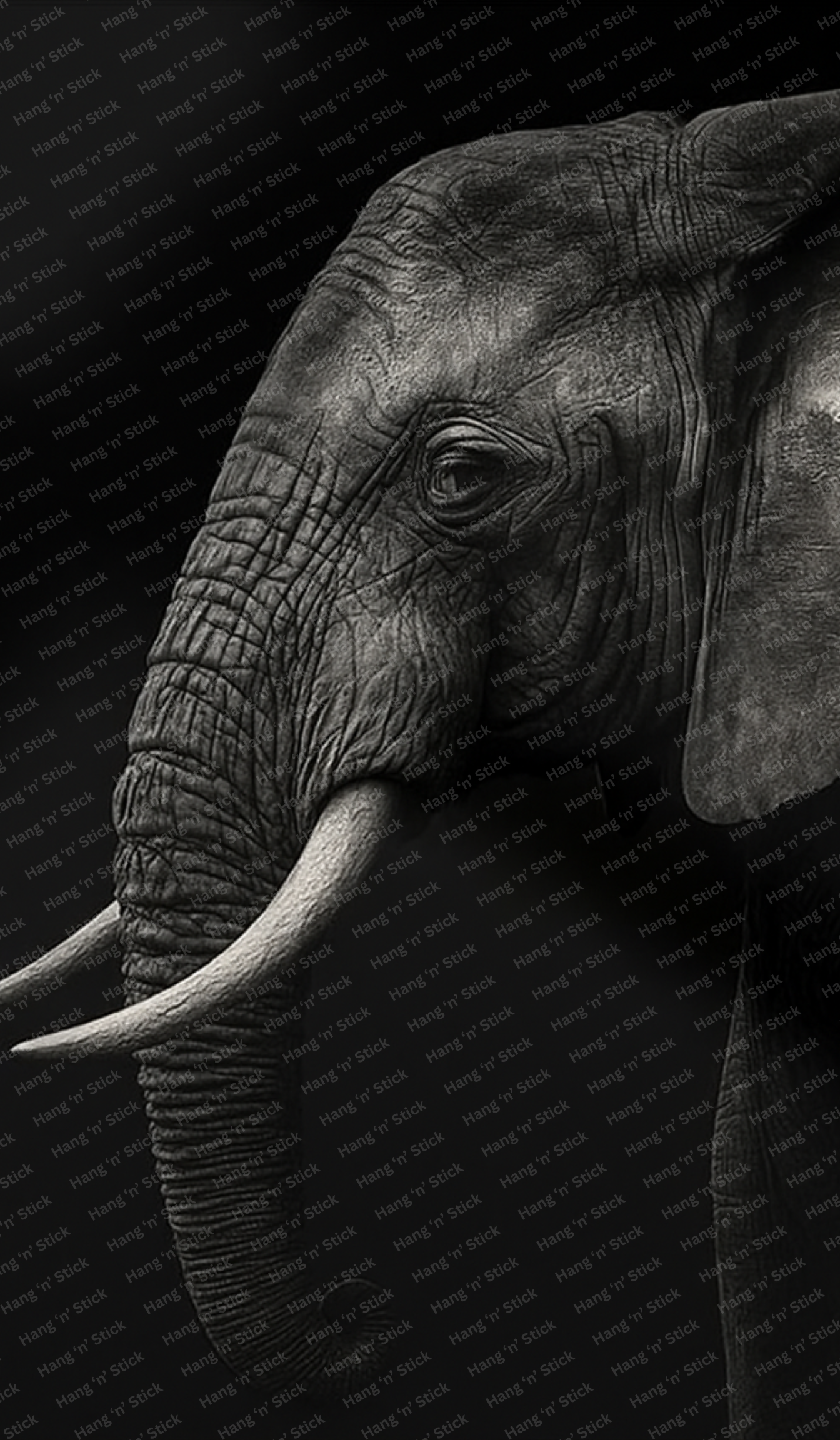 Noble Elephant Monochrome Wall Art